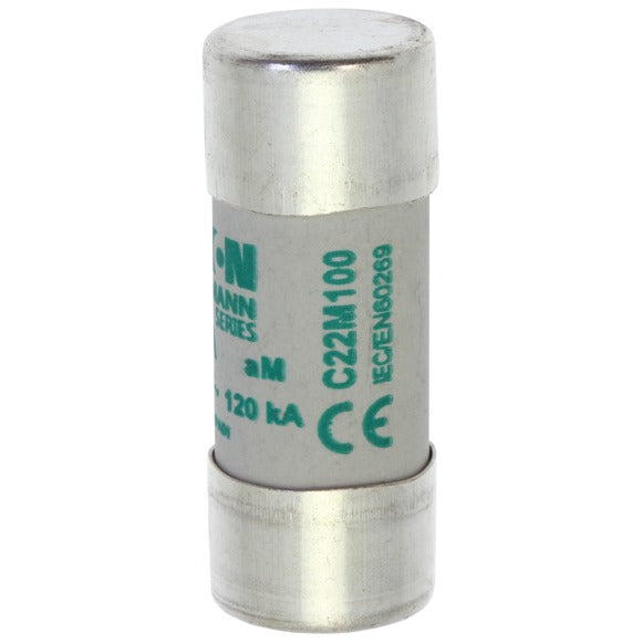 C22M100 FUSE CARTRIDGE 100A 500VAC