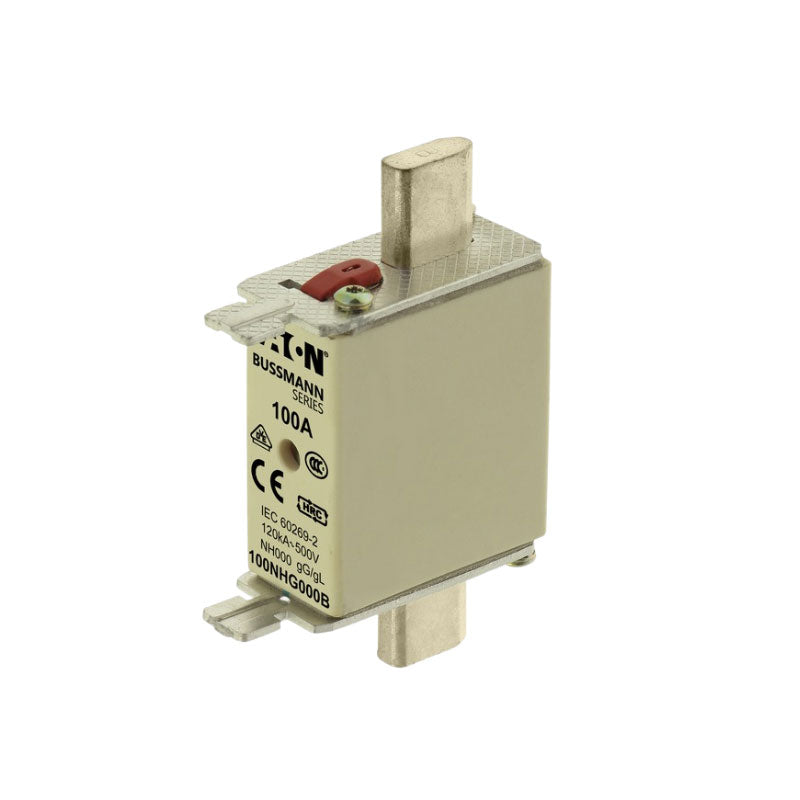 NH FUSE 100AMP 500V SIZE 000 GG MGL
