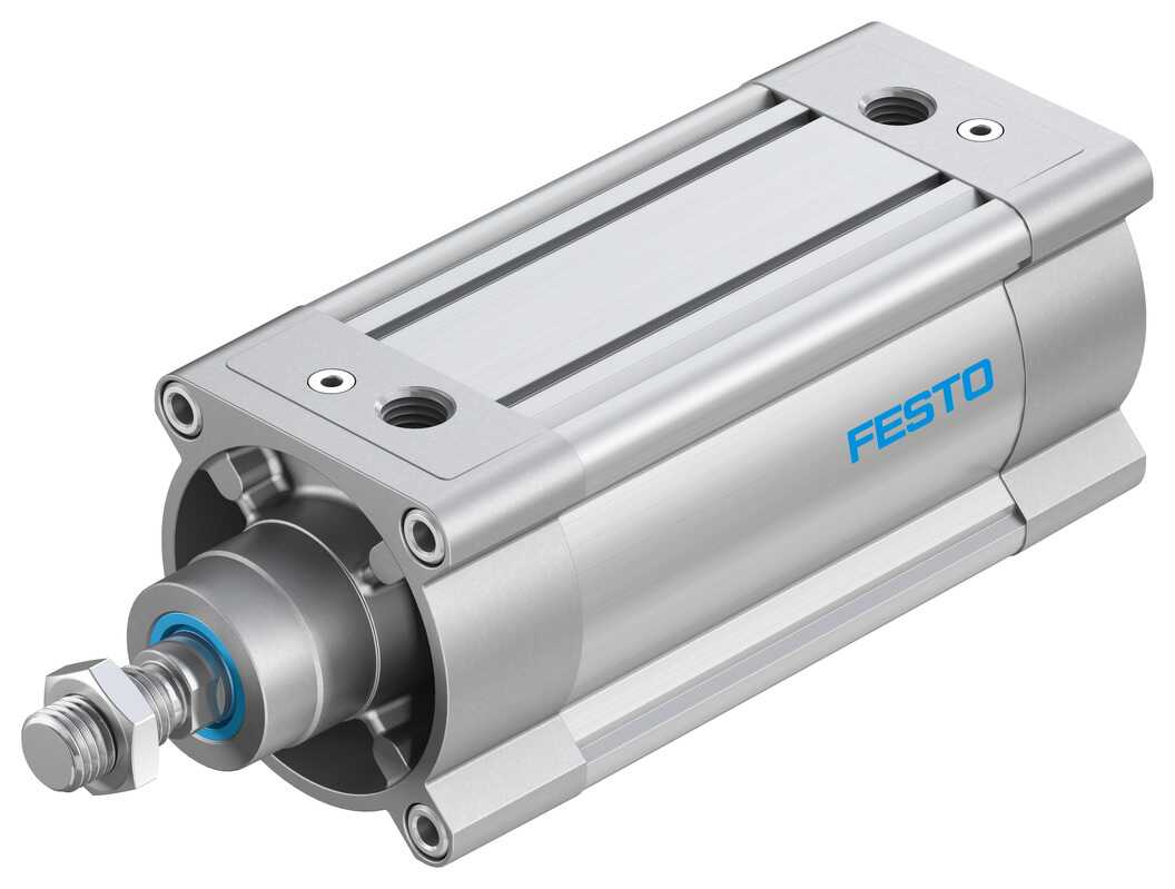 DSBC-100-250-PPVA-N3 ISO Cylinder
